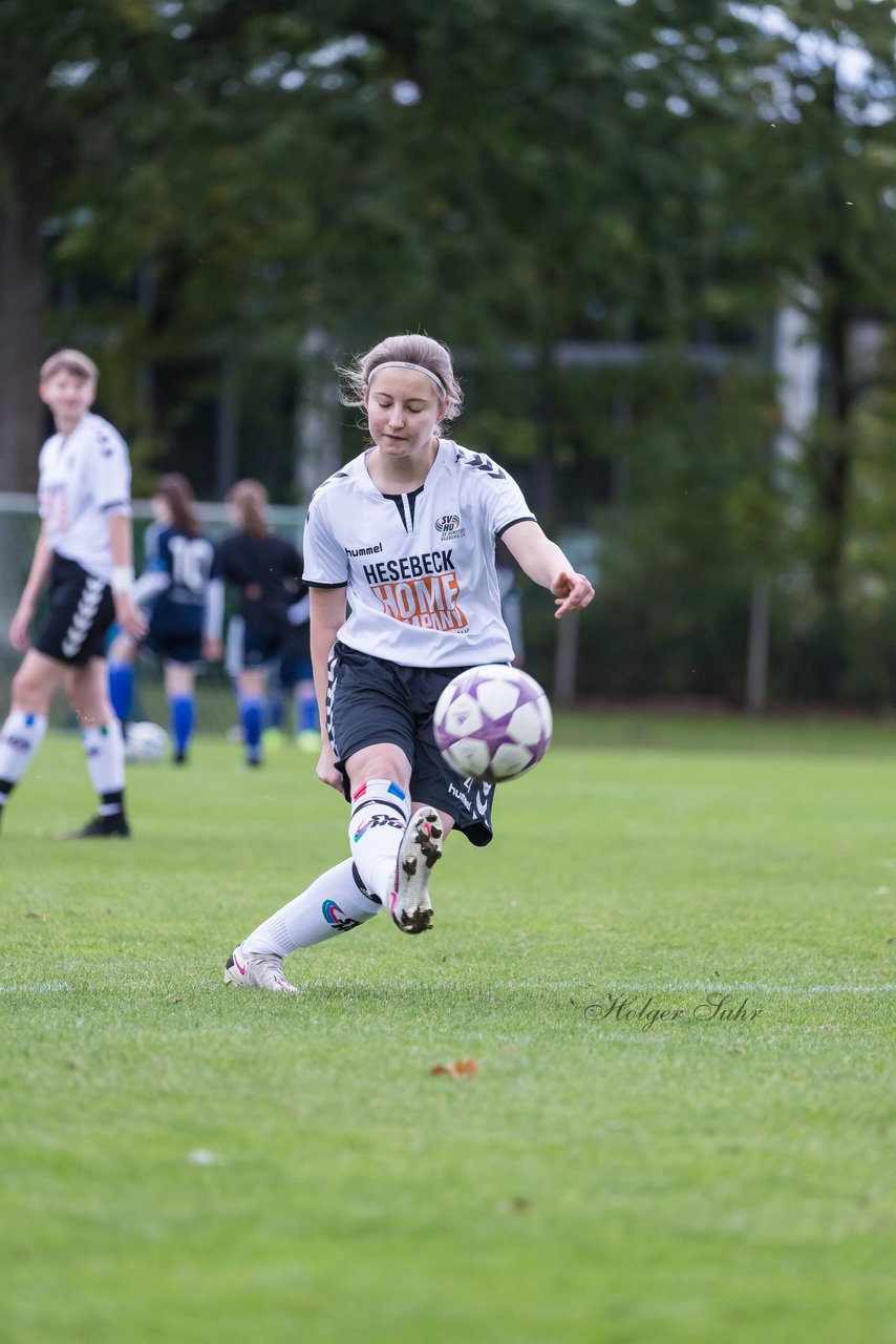 Bild 173 - B-Juniorinnen SV Henstedt Ulzburg - Hamburger SV : Ergebnis: 2:3